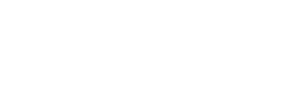 Wells Advantage Logo